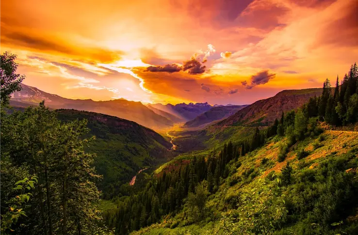 Montana insurance quote form