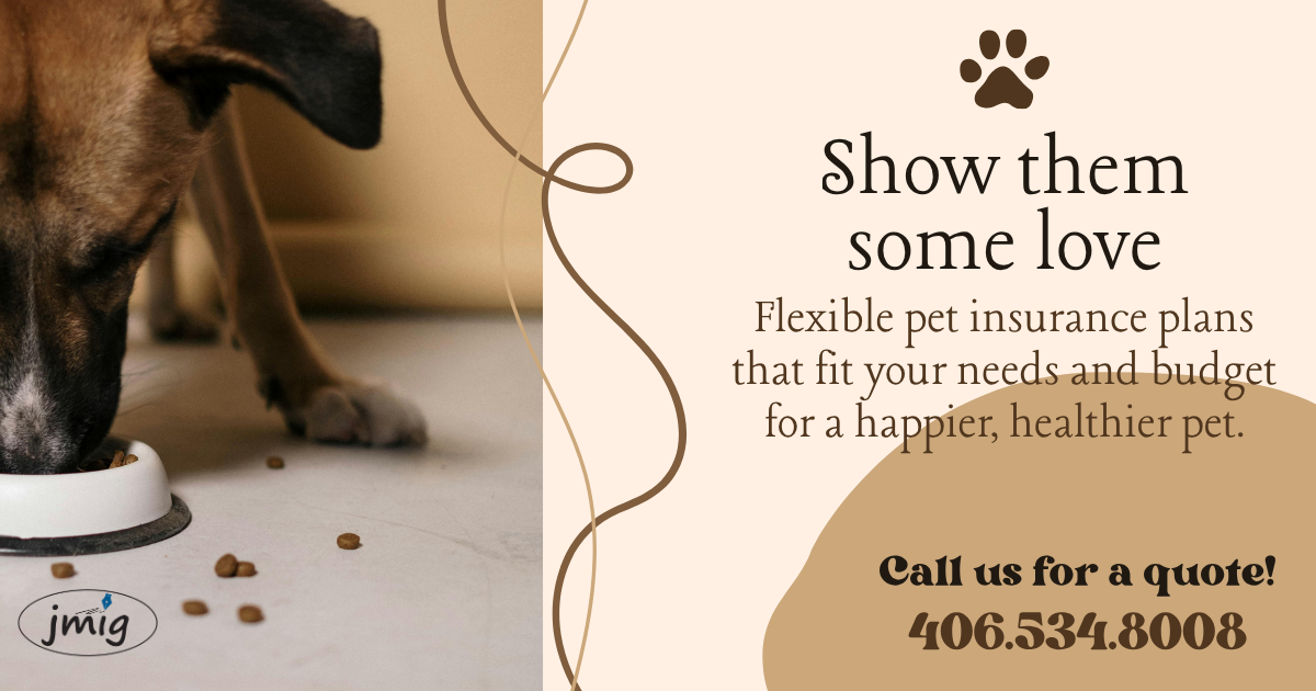 Pet Insurance – JM Insurance Group